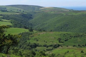 Dunkery and Horner Wood National Nature Reserve, Porlock, Exmoor National Park