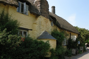 Kitnors Tea Room and Garden, Porlock, Exmoor National Park