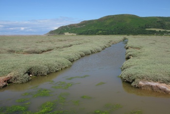 Porlock Marsh (National Trust) / Sparkhayes Marsh (National Trust), Porlock, Exmoor National Park