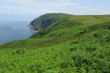 Trentishoe Down (National Trust), Martinhoe and Woody Bay, Exmoor National Park
