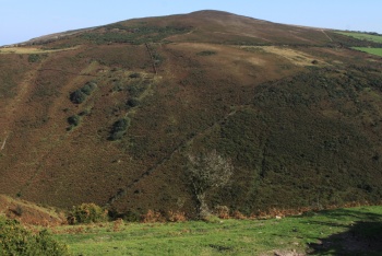 Holdstone Down (National Trust), Combe Martin, Exmoor National Park