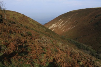 Sherrycombe (National Trust), Combe Martin, Exmoor National Park