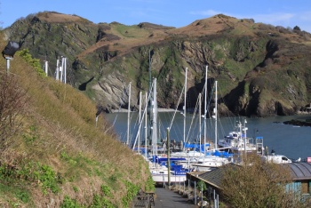 Ilfracombe Aquarium, Combe Martin, Exmoor National Park