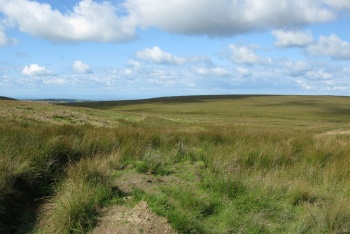 Tarka Trail On Exmoor, Simonsbath, Exmoor National Park
