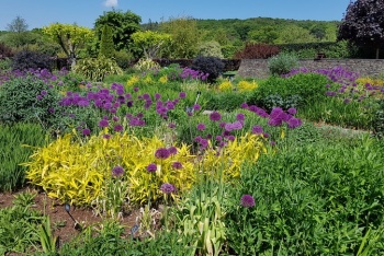 RHS Garden Rosemoor, Combe Martin, Exmoor National Park