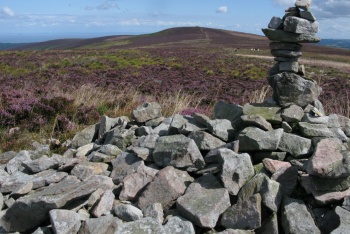 Rowbarrows, Exford, Exmoor National Park