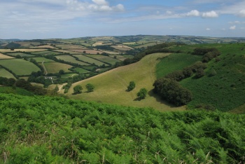 Winsford Hill (National Trust), Winsford, Exmoor National Park